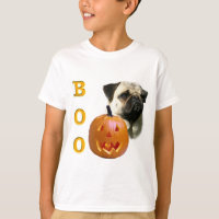Pug (fawn) Boo