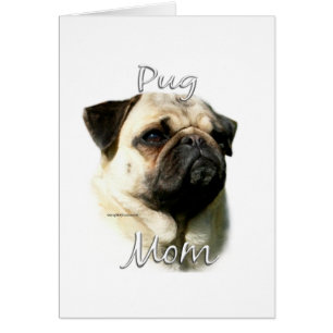 Pug (fawn) Mom 2