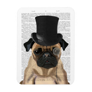 Pug, Formal Hound and Hat Magnet