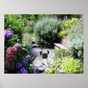 Pug Garden Print