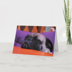 Pug Get Well Card