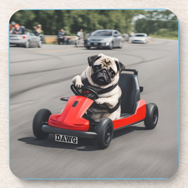 Pug go-kart racing coaster (Front)