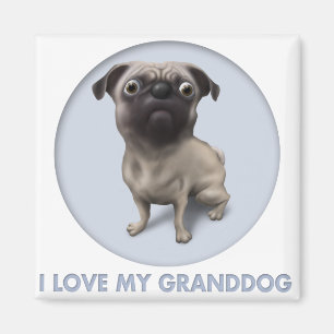 Pug Granddog Magnet