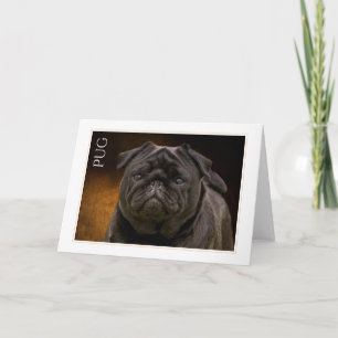 Pug Greeting Card
