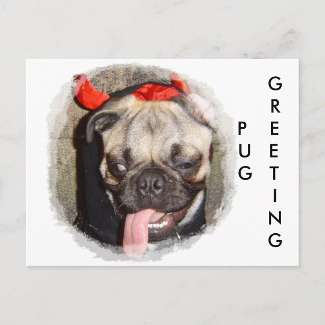 Pug Greeting Postcard (Front)