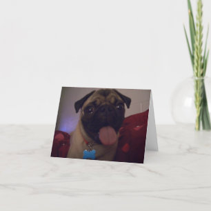 Pug greetingcard Machi Card