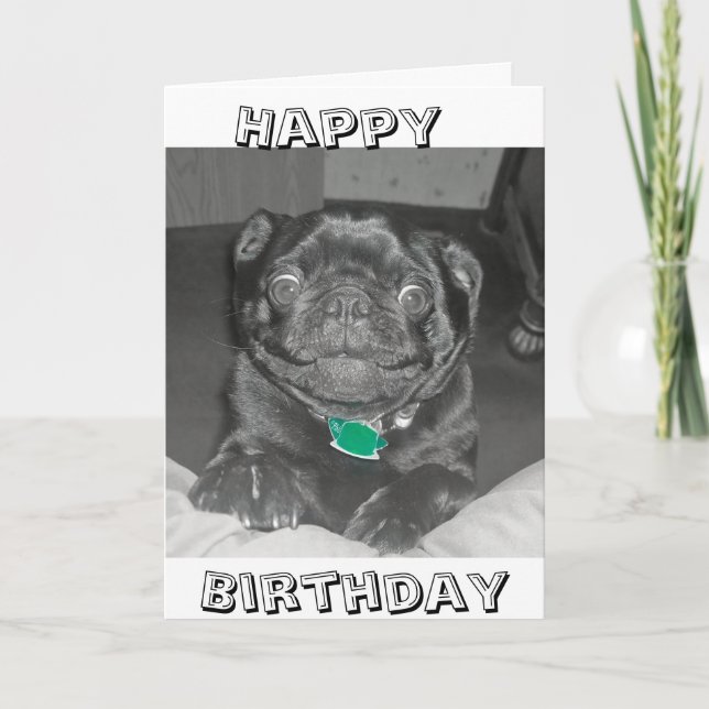 Pug Happy Birthday card (Front)
