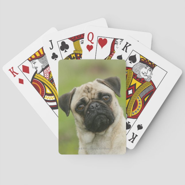 Pug Head Cocked Looking at Camera Playing Cards (Back)