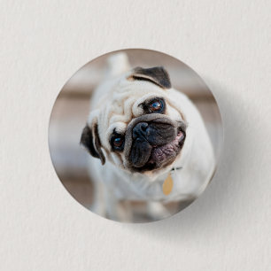 Pug Head Tilt 1 Inch Round Button