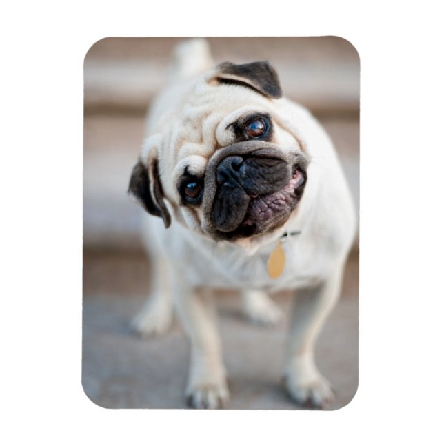Pug Head Tilt Magnet (Vertical)