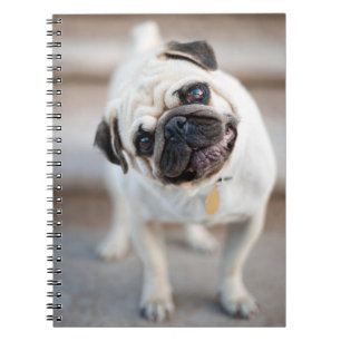 Pug Head Tilt Notebook