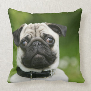 Pug headshot throw pillow