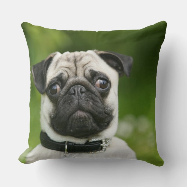 Pug headshot throw pillow (Front)