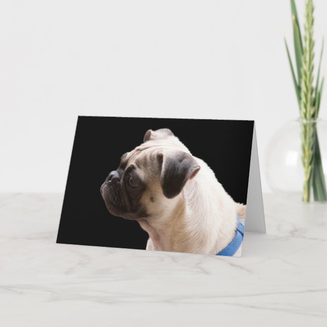 Pug Hugs & Kisses Birthday Card Focus for a Cause (Front)