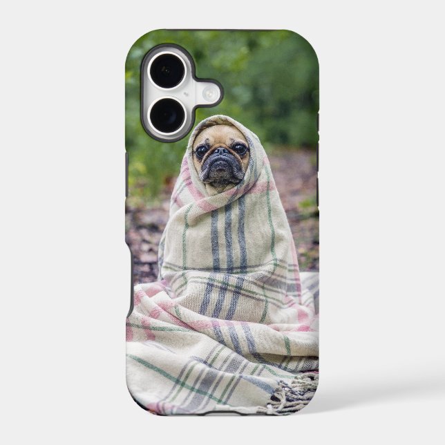Pug in a Blanket (Back)
