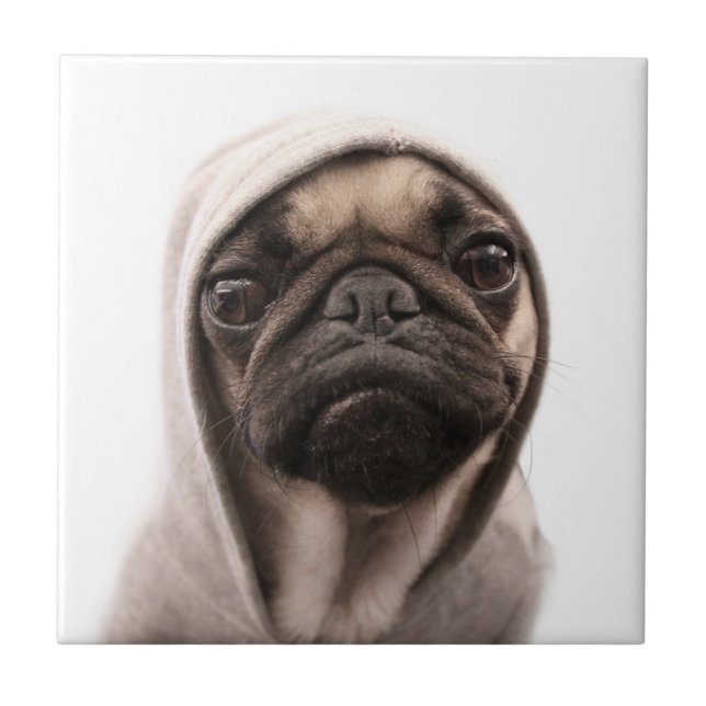 Pug In A Hoodie Tile (Front)