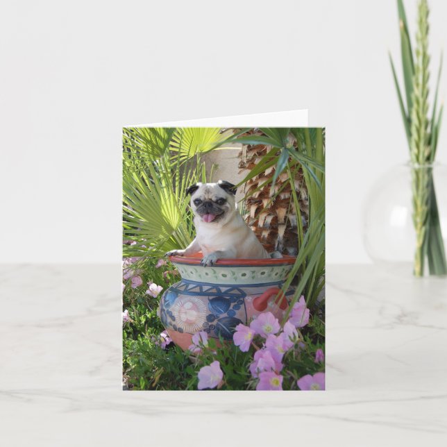 Pug in a Jug Card (Front)