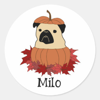 Pug in a Pumpkin Classic Round Sticker