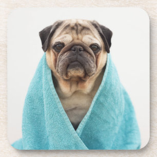 Pug in a Towel Coaster