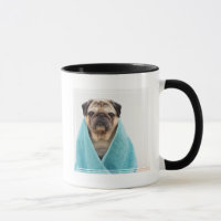 Pug in a Towel