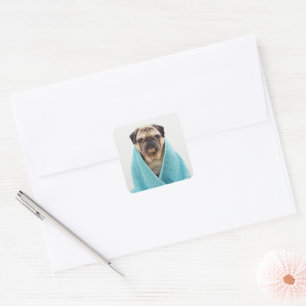 Pug in a Towel Square Sticker