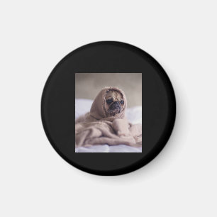 Pug In Blanket Cute Pug Dog Lover Gift Magnet