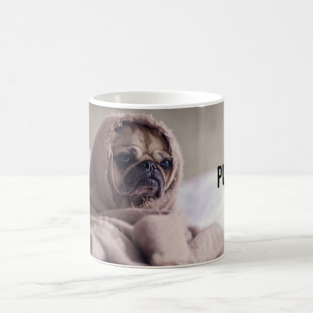 Pug In blanket mug (Center)