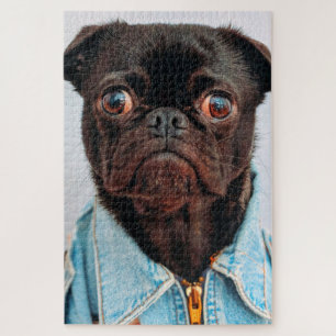 Pug in Denim Jackey Cute Adorable Dog Puppy Jigsaw Puzzle
