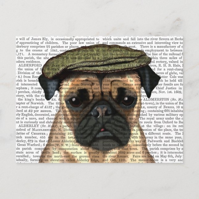 Pug in Flat Cap Postcard (Front)