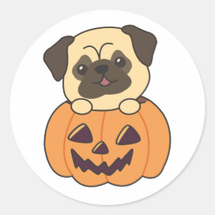 Pug In Pumpkin Sweet Dogs Happy Halloween Classic Round Sticker