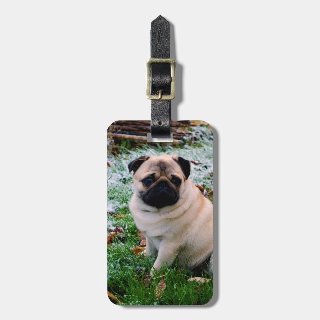 Pug Insert Your Own Photo Luggage Tag (Front Vertical)