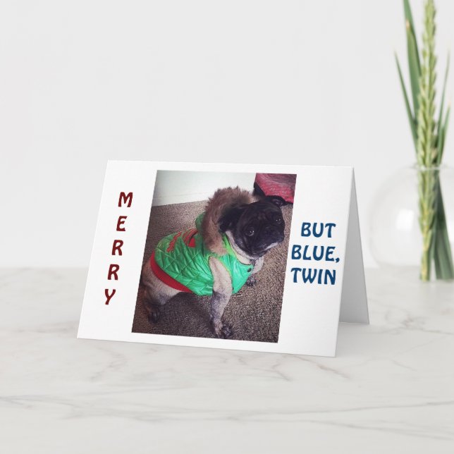 PUG IS "MERRY" BUT "BLUE" CHRISTMAS WITHOUT "TWIN" HOLIDAY CARD (Front)