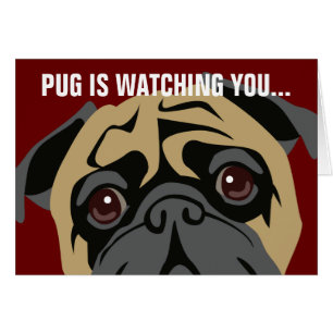 Pug Is Watching