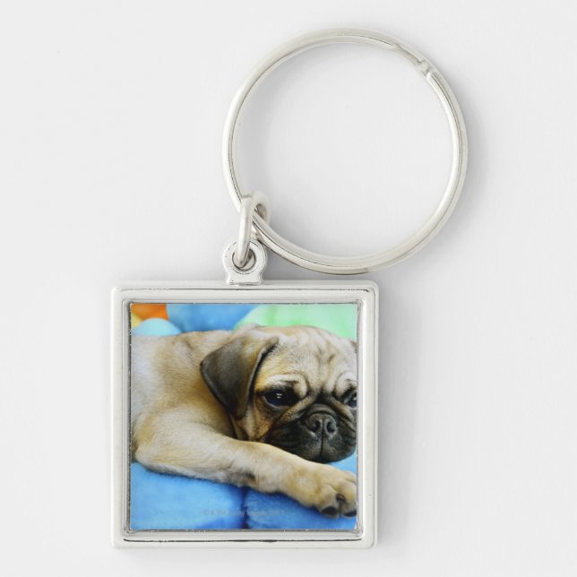 Pug laying on pillows keychain (Front)