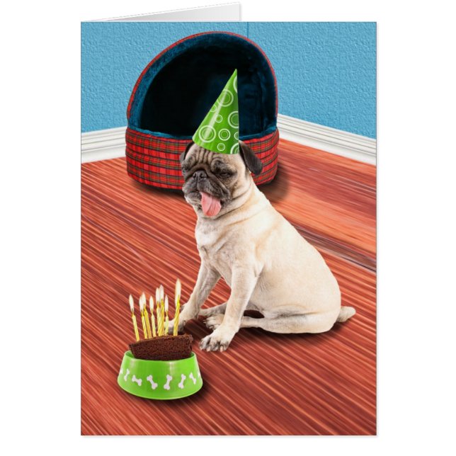Pug Lick (Front)