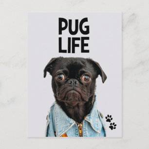 Pug Life Postcard