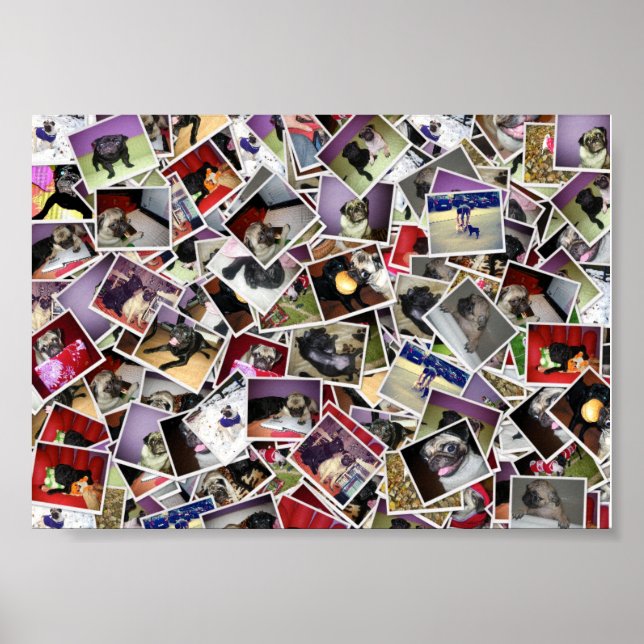 Pug Life Poster (Front)