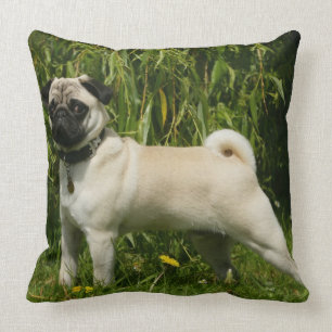 Pug Lookign at Camera Throw Pillow