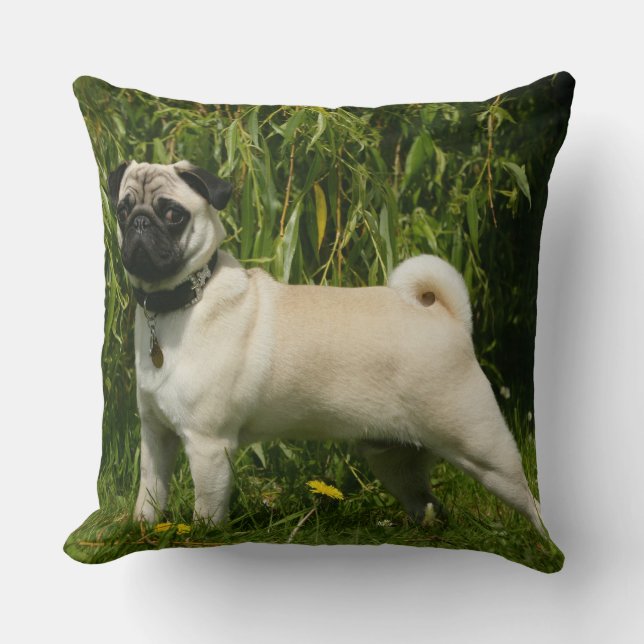 Pug Lookign at Camera Throw Pillow (Front)
