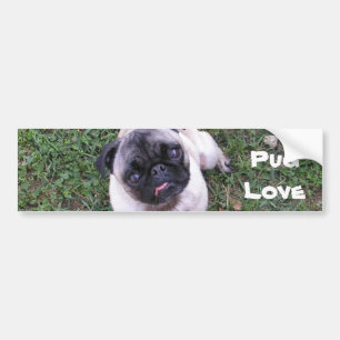 Pug Love Bumper Sticker