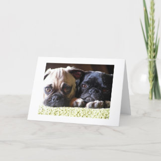 Pug Love Note Cards