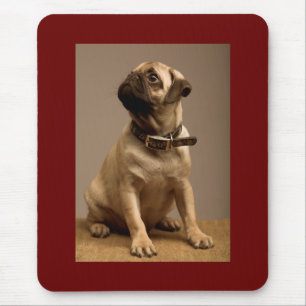 Pug Love Puppy Dog Brown Computer  Mousepad