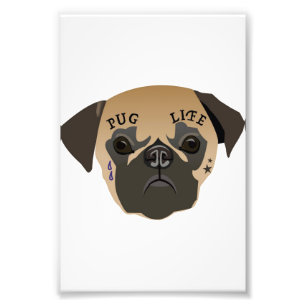 Pug Lovers   Cute Pug Life Photo Print