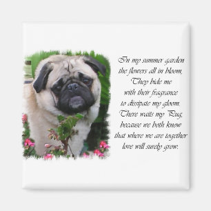 Pug Lovers Gifts Magnet