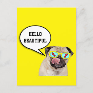 Pug loving fire hydrant  poster postcard