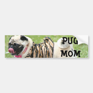 Pug Mom Bumper Sticker