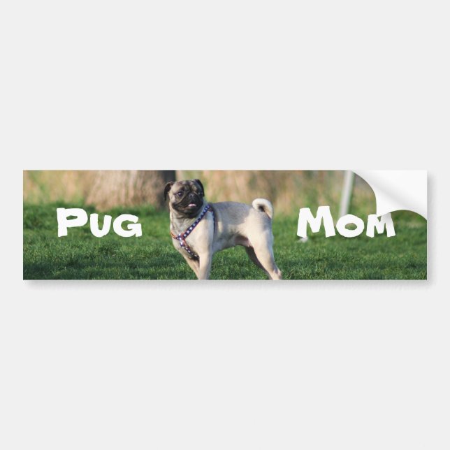 Pug mom bumper sticker (Front)