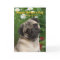 Pug Mother's Day Card