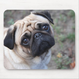 PUG MOUSE PAD