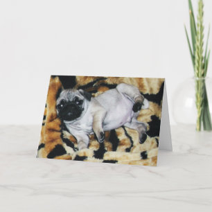 Pug Muffin Valentine's Day Greeting Card